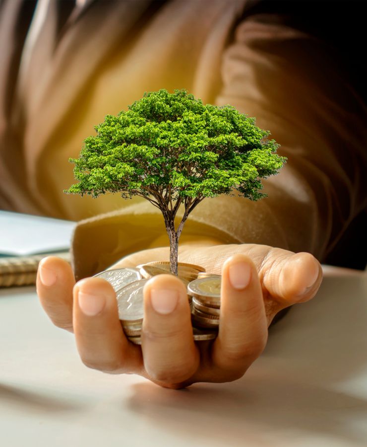 Croissance patrimoniale durable représentée par un arbre poussant sur des pièces, investissement responsable et gestion de patrimoine verte
